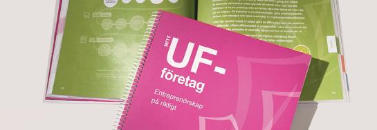 De får lära sig ekonomiska begrepp, att göra budget och sköta sin privatekonomi. De får också förståelse för hur samhällets ekonomi fungerar och hur ekonomin på sikt påverkar eleven.