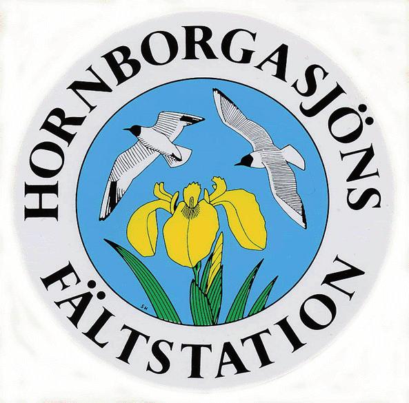 Hornborgasjöns fältstation 2011 Arbetsgruppen Sammankallande Ida-Linnéa Laudon, Korsviken 117b, 459 91 Ljungskile, 0703-993 734 Kassör Gunnar Hurtig, Sjövägen 32, 565 32 Mullsjö.