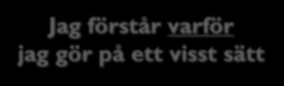 Jag kan programmera!
