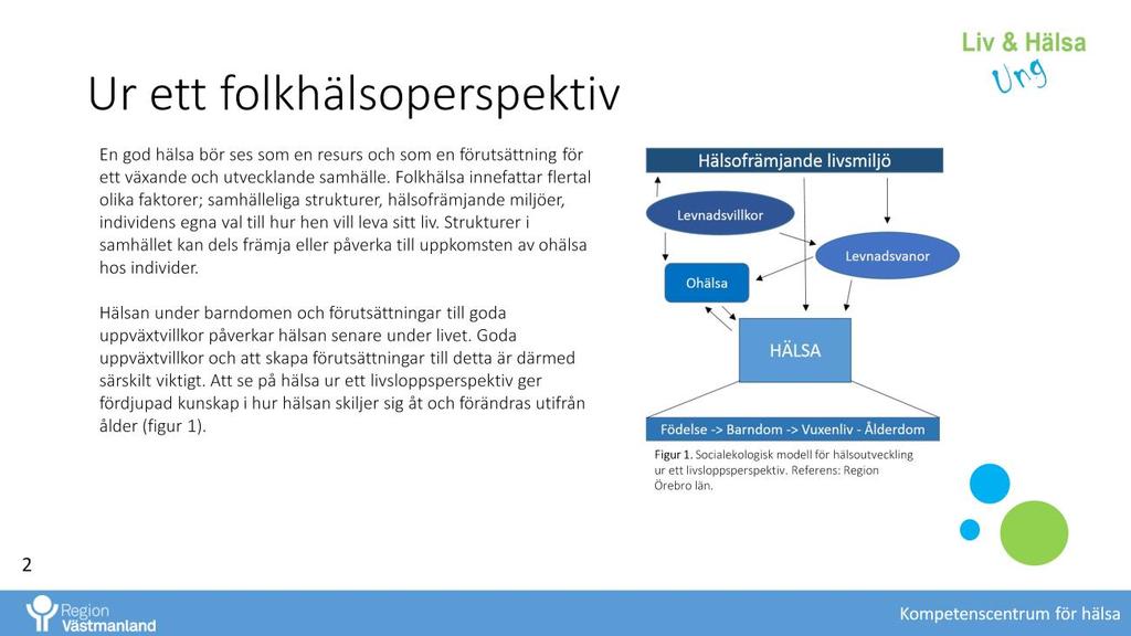 Att se på hälsa ur ett livsloppsperspektiv ger fördjupad kunskap i hur hälsan skiljer sig åt och förändras utifrån ålder.