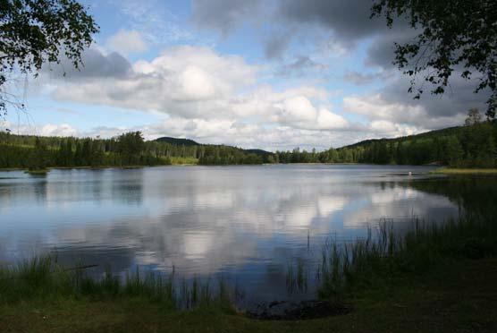 2 Fagersta kommuns kulturliv Turism, Bibliotek, Kulturskola 2:1 Turism Turism är föränderlig.