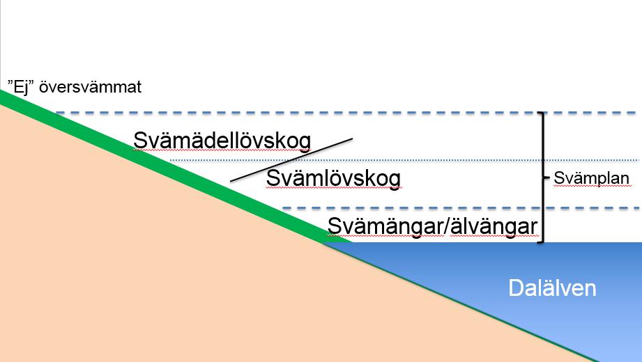 Området präglas också av att det ligger i gränszonen mellan olika klimatzoner, där nordliga barrskogslandskap möter sydliga blandskogsområden ( Limes norrlandicus ).