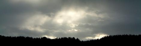 Klimatförändringarnas påverkan på den biologiska mångfalden i skogslandskapet ulrika.