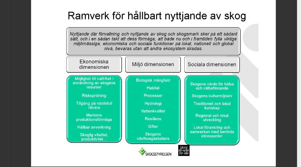 Skogsindustrierna - metoder Bättre föryngringar, effektivare insektsbekämpning, förädlade plantor, minskade viltskador, dikesrensning, gödsling Nya mer snabbväxande trädslag: contortatall, svartgran,