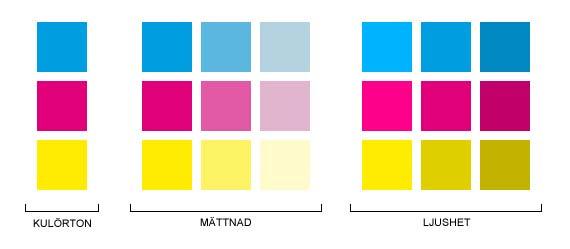Utöver ljuskällans inverkan på hur färg upplevs förekommer även andra välkända fenomen inom människans visuella perception, som exempelvis den så kallade kontrasteffekten.