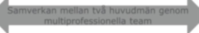 säkerhet inom samtlig kommunal hälso- och sjukvård. Motsvarande funktion, medicinskt ansvarig läkare, finns vid enheten för avancerad sjukvård i hemmet vid SU (se figur 1.4). Figur 1.