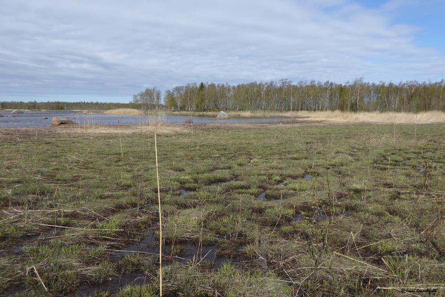 38 (65) Korsholms världsarvsväg FCG DESIGN OCH PLANERING AB Bild 5.13.