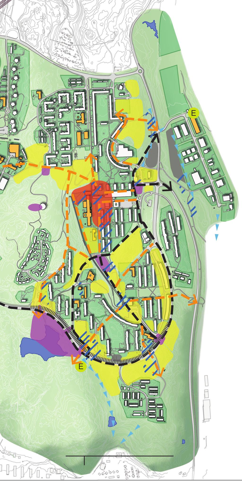 FORTSATT PROCESS Många aktörer kommer att vara inblandade i utvecklingen av programområdet.