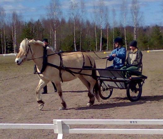 Dessutom avslutade vi dagen med precisionskörning.