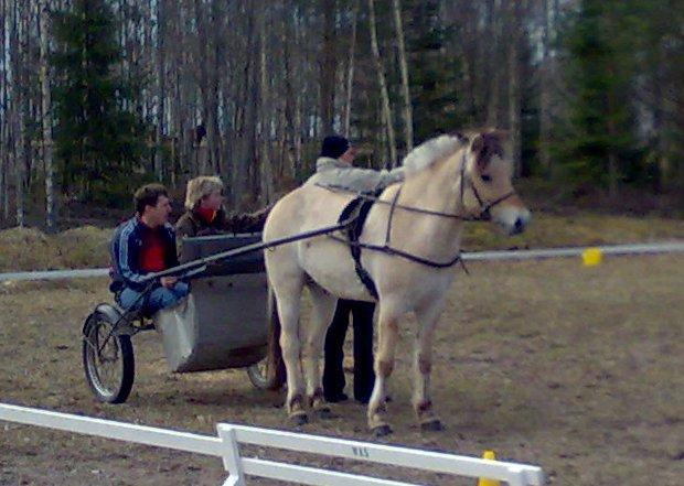 människor. Hela 11 ekipage tog chansen att träna dressyr den här dagen.