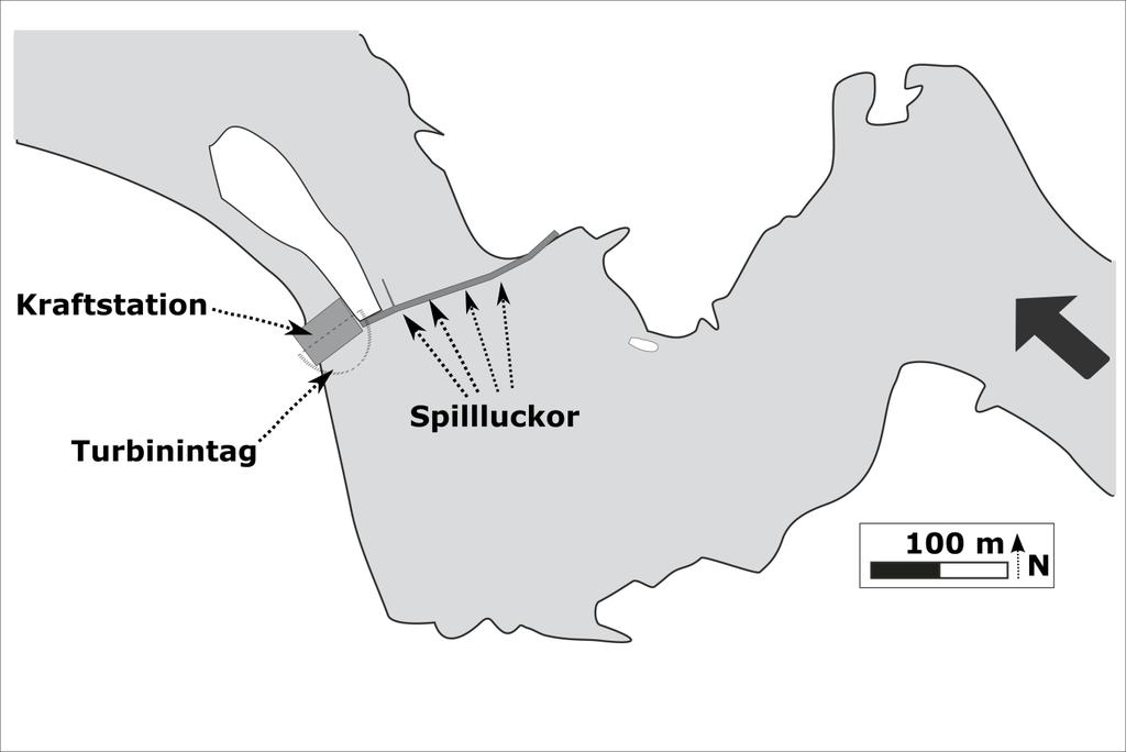 Figur 4. Karta över området kring Edsforsen kraftverk i Klarälven, som visar turbinintagen och spilluckorna (6 stycken).