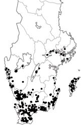 B Rosa lundlav Bacidia rosella Missgynnad (NT) Rosa lundlav är känd från Skåne till Uppland men huvuddelen av fynden är från sydvästsverige, Blekinge, Öland och Gotland.
