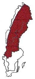 C Vitgrynig nållav Chaenotheca subroscida Regionalt rödlistad Vitgrynig nållav växer på sina ställen relativt allmänt i naturskogsartade granskogar i Norrland, men är mycket sällsynt i södra Sverige.