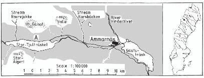 Figure 1. Map of the Ammarnäs area of Swedish Lapland. Its location in Sweden is indicated by the solid circle on the inserted map.