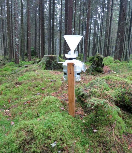 Ett av våra uppsamlingskärl inom krondroppsytan Storskogen (Sågebäcken/Storskogen) Skogsbrukets försurning Skogsbruket bidrar långsiktigt till skogsmarkens försurning genom uttag av biomassa.