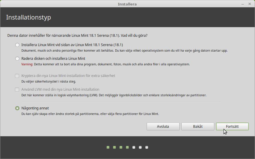 Här bestämmer du nu om Linux Mint skall installeras tillsammans med ett eller flera andra operativsystem eller självt få använda hela hårddisken.
