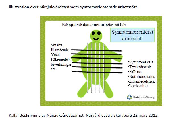 Närsjukvårdsteamet i Skaraborg utgår från sjukhuset och vänder sig till patienter med komplexa medicinska och omsorgsbehov.