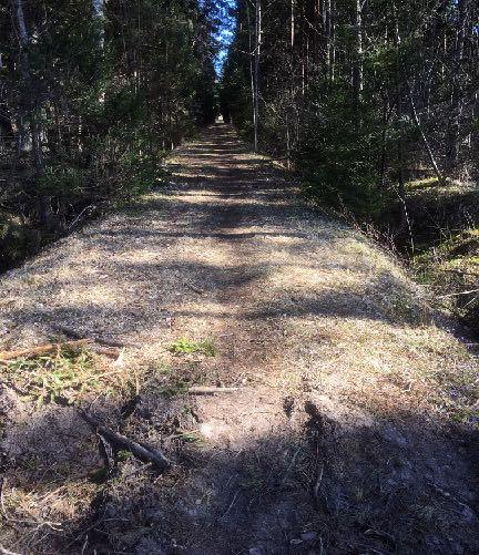 De lägsta delarna av utredningsområdet finns längst i sydväst. Figur 3. Skogskarta, som visar var det finns fuktiga områden (blå färg).