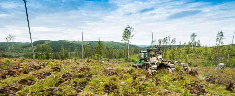 Markberedning en bra grund för dina plantor Visst vill du ge nya din skog bästa möjliga start? Då bör du satsa på att markbereda inför planteringen.