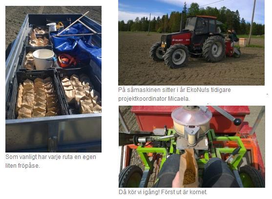 SÅDD 30.5.