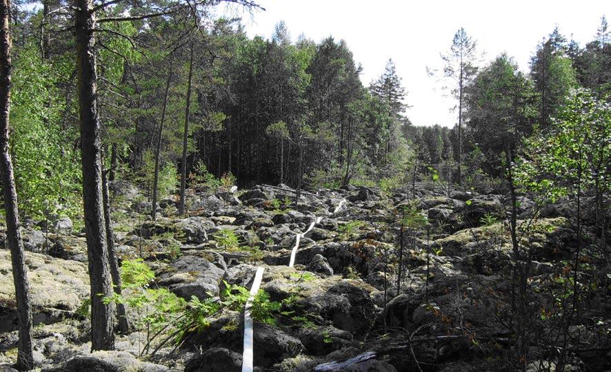 Skogsbilvägen och Nedre Bursjön fungerade som brandgränser samtidigt som slang drogs från Hässjaån i söder, där slangen lades i den blockiga terrängen och upp längs