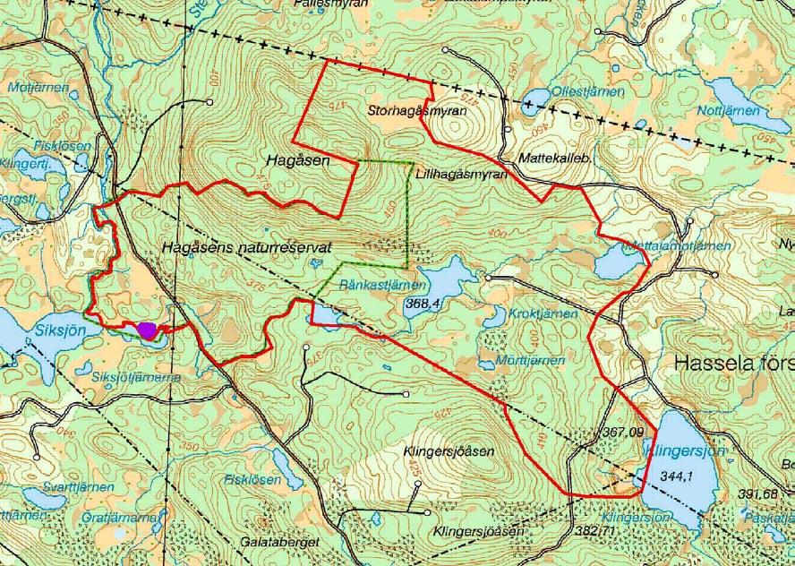 Hagåsen Områdesbeskrivning Hagåsens naturreservat, beläget 4 km VNV om Hassela i norra Hälsingland är ett talldominerat reservat med stora delar orörd naturskog.
