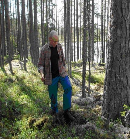 Förberedelser Fyra dagar före bränning besöktes objektet för kontroll av markskiktet samt provbränning.