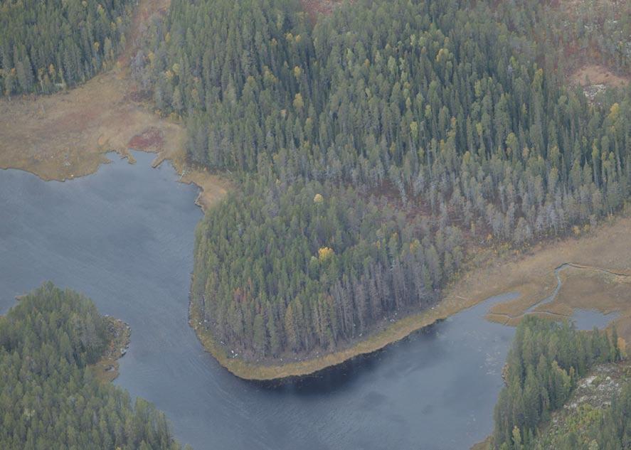 Bilden ovan visar flygfoto över Hagåsenobjektet drygt ett år efter bränningen.