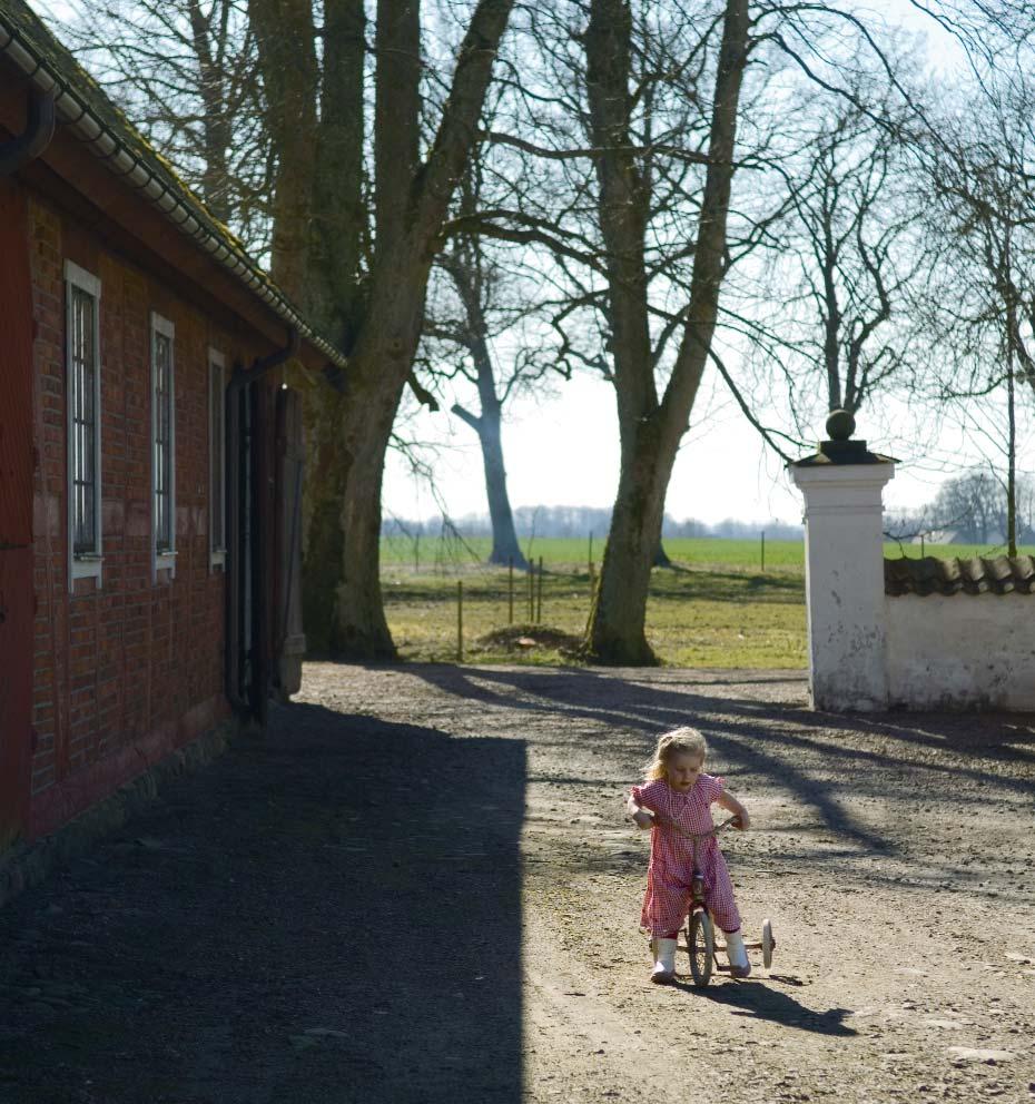 Blandrashunden Dolly sitter förväntansfullt på pass och hoppas att en liten kycklingbit ska hamna utanför filten.