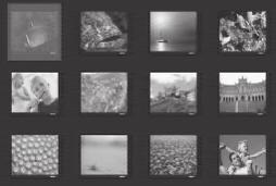 Spela upp foto Visa foton som bildspel Den här enheten kan visa fotografi er i JPEGformat (fi ler med fi ltilläggen.jpeg eller.jpg).