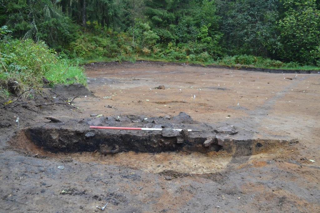A181 Strukturen ligger ca en meter från den västra fältgränsen, den är klar i plan och profil och är skuren av ett modernt dike. I botten av strukturen är det en klar kolrand.