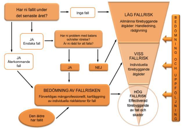17 Figur 6 Verksamhetsmodellen IKINÄ för förebyggande av fallolyckor. 3.2.