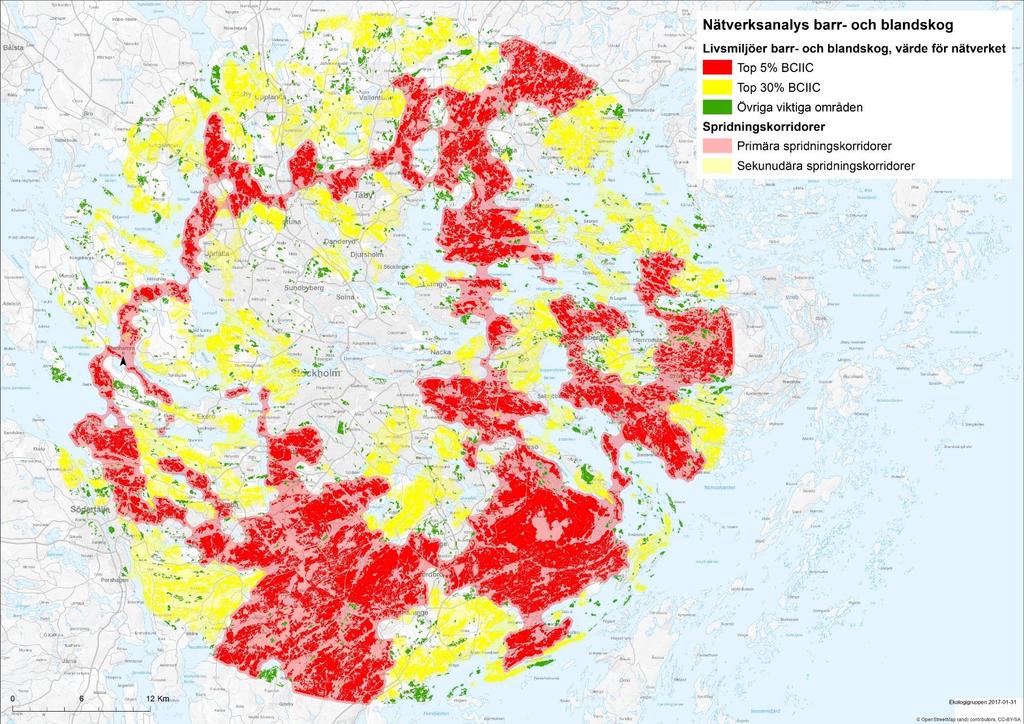 Nätverksanalys barr- och