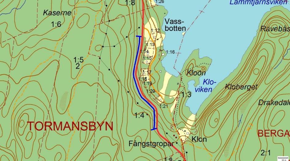 Hänsynsobjekt 2197, Vassbotten, TORMANSBYN Motivering: Kalkpåverkad vägkant med lund- och ängsflora.