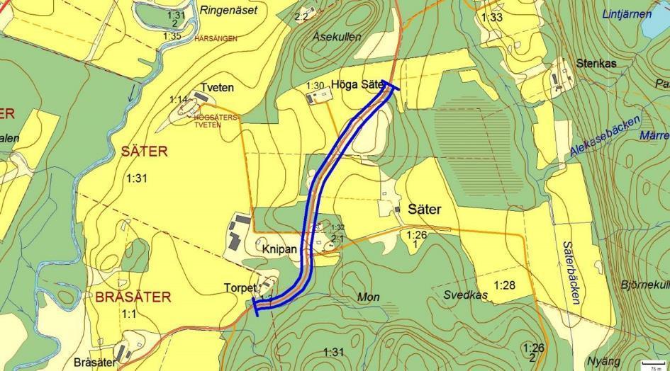 Artrika vägkanter 2120, Knipan - Säter, SÄTER Motivering: Rikblommande vägkant.