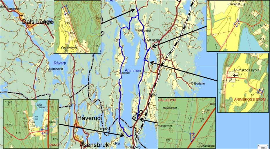 Artrika vägkanter 2226, 2227, 2228 och 2232, vägar runt Ånimmen Motivering: Artrik vägkant med många intressanta hävd- och kalkgynnade arter.