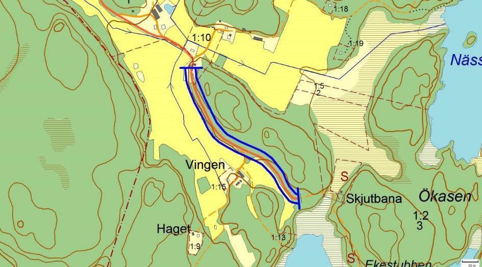 Artrika vägkanter 2230, Vingen, ÖSTRA BODANE Motivering: Artrik vägkant med mycket fin hävdgynnad flora och inslag av speciella arter.