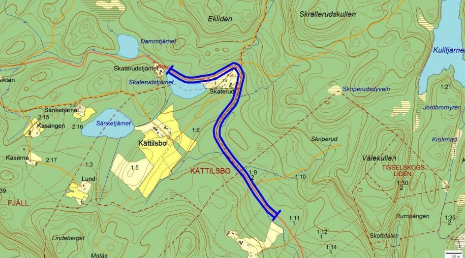 Artrika vägkanter 2239, Skaterud, HÄRSERUD Motivering: Vägkant med mycket ängsvädd.