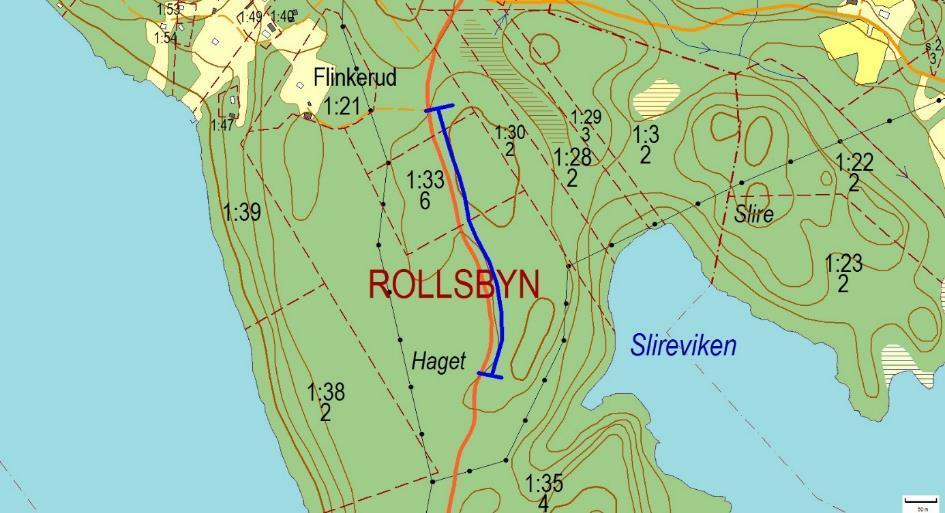 Artrika vägkanter 2251, Haget, ROLLSBYN nytt objekt! Motivering: Ett större bestånd av den sällsynta och fridlysta orkidén purpurknipprot.