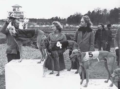 Segraren GW Earl Hill, Cricko Jörgensen, SHS, tvåa GW Emir, Ann-Marie Lindström, SHS och trean