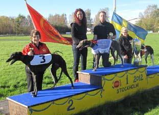 40 H Jandrén/S Persson, SHS Cold Mary Gold 1999 Evita 29.49 T Johansson, GHS Soulman 2000 Street Rumour 30.34 R Rask, VHS Attracta 2001 Unreal 29.78 R Richter, GHS Green Light 2002 Felicia 29.