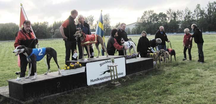 Hässelby Veterinärpraktiks Greyhound Derby, 2012. Fr. v.