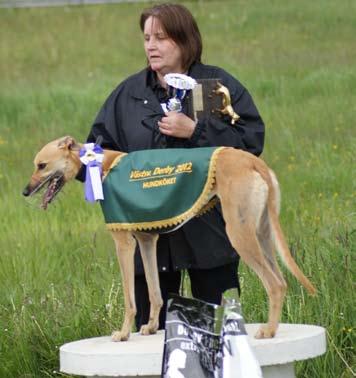 Skelleftetrofén, 2010. Fr. v. tvåan Crimdon Cobra, Maria Karlsson, MiHK, 30.27, segrare Knockout Dame, Jeanette Lindgren, NHK/Äl, 30.26, trea Yo-gi-oh, Jeanette Lindgren, NHK/Äl, 30.49.