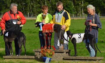 1998 Peacekeeper 30.49 R Hanebrink, SHS Sockeroo 1999 Bob Whizzer 34.49 P Gelin, SHS Rawchamp 2000 Texas Ranger 33.08 U Fransson, 7HS Tiger Wood 2001 Bli Best 32.