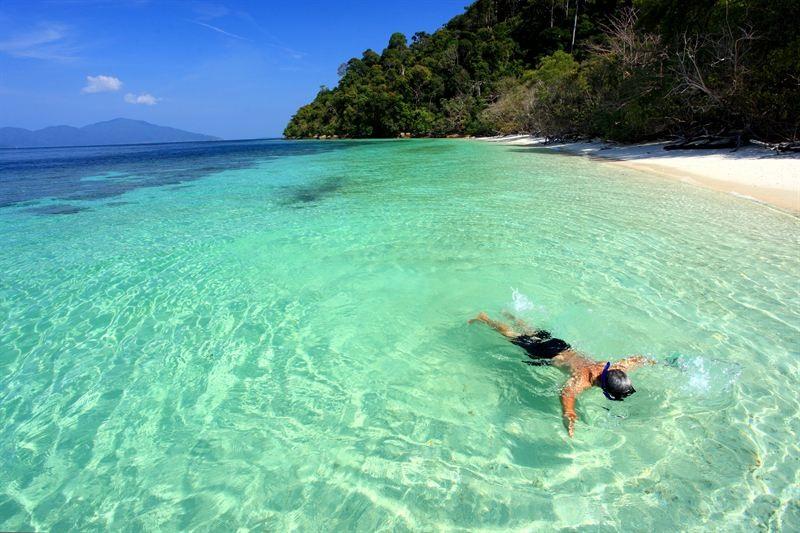 Dykning och snorkling upptäck livet under ytan Några av världens bästa platser att upptäcka livet under den safirblå och smaragdgröna ytan genom dykning eller snorkling finns i Thailand.