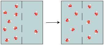 Osmos vattnets diffusion över ett semipermeabelt membran