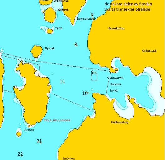 Fig 8. Karta från Olex som visar positionerna för transekterna i norra inre delen av fjorden. För start- och slutpositioner för transekterna se Appendix 1. av typen Furuno SC-110.