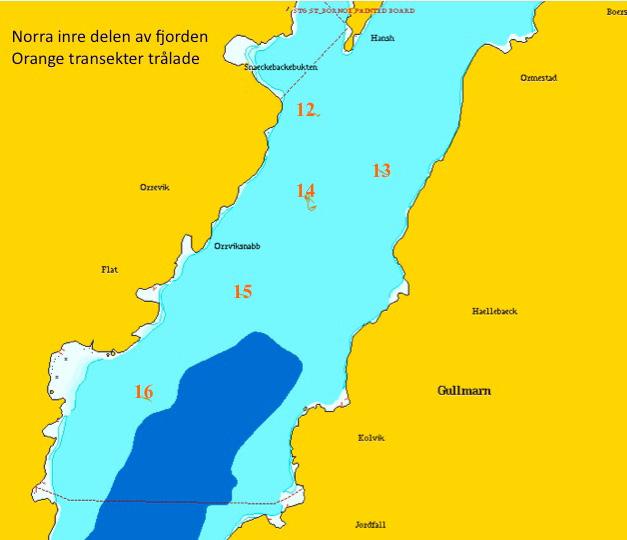 Fig 9. Karta från Olex som visar positionerna för transekterna i norra delen av fjorden. För start- och slutpositioner för transekterna se Appendix 1.