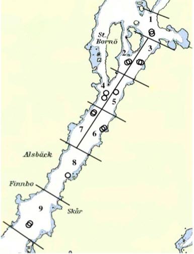 Fig 3. Karta över fjorden där beteckningar för områdena för undersökningen 1999 är inlagda.