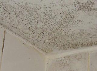Dålig ventilation gör att fukten stannar kvar och förstör konstruktionen på sikt, samt orsakar mögel vilket i sin tur innebär en hälsorisk.